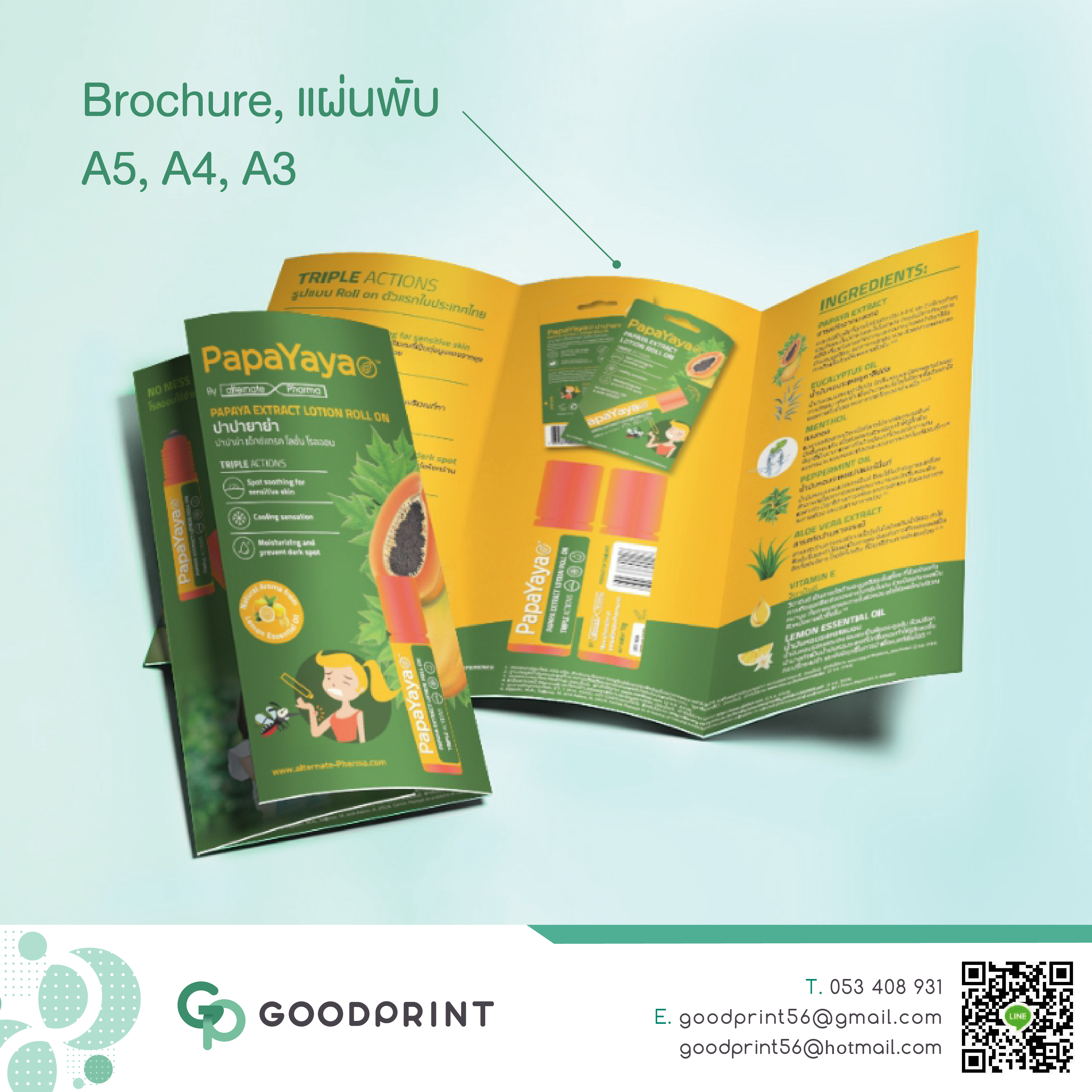 Brochure 01
